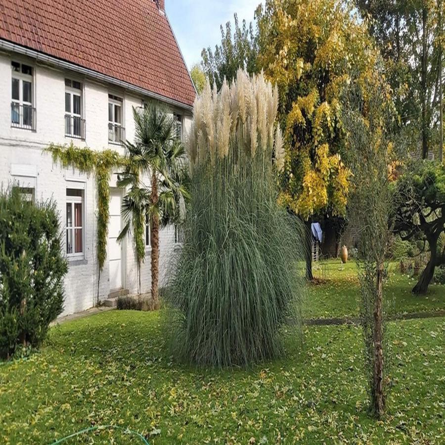 Gite La Riviera Wargnies-le-Grand Exterior foto